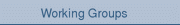 Working Groups